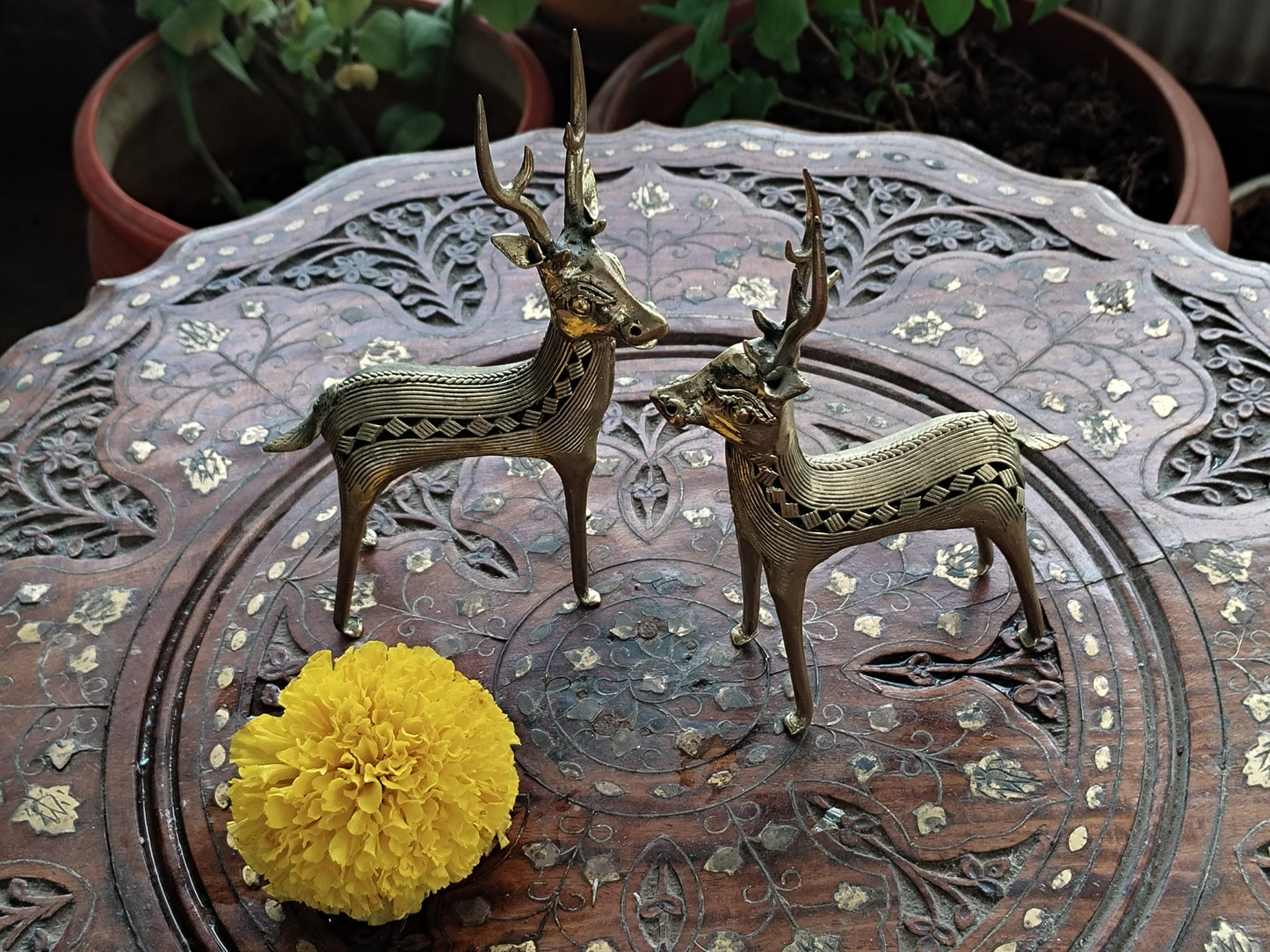 Handcrafted Dhokra Brass "Pair of Deer" - Decorative Art/ Showpiece