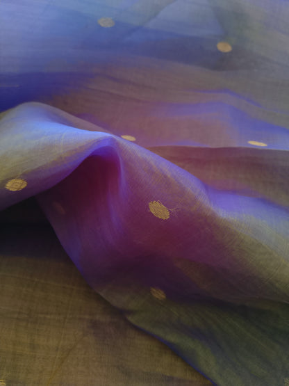 Ethereal Chanderi Silk Dusky Earth Saree - Purple