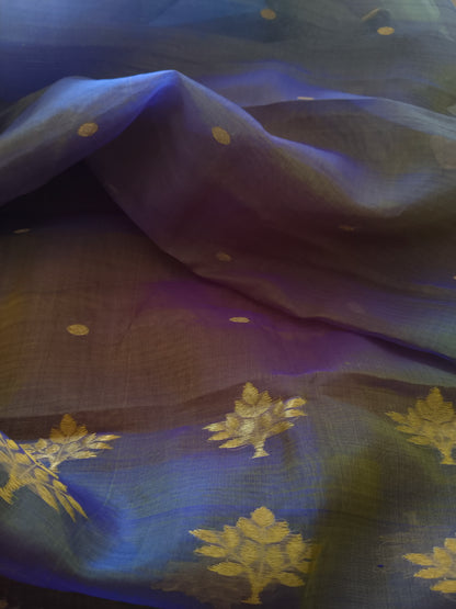 Ethereal Chanderi Silk Dusky Earth Saree - Purple