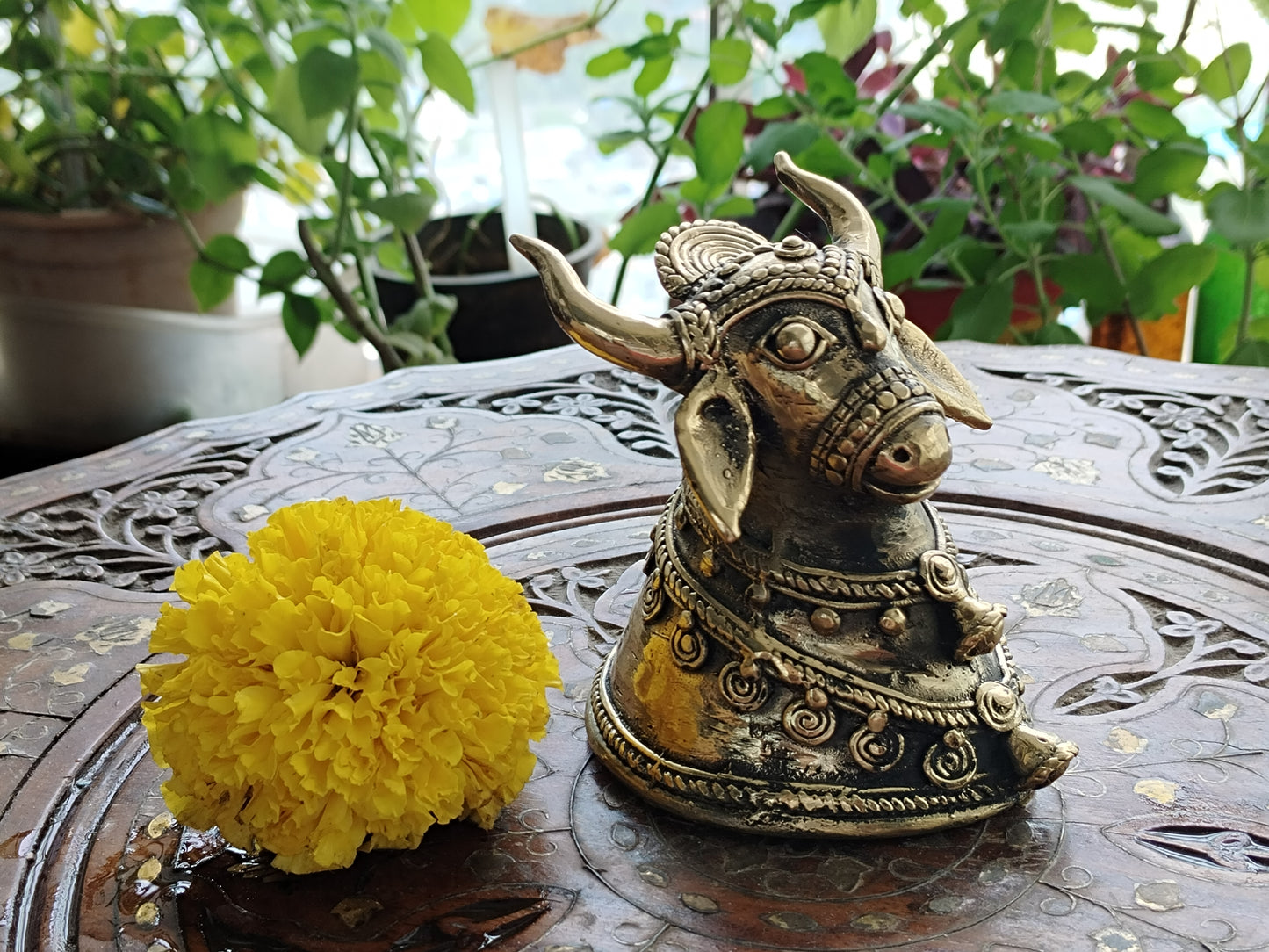 Handcrafted Dhokra Art Brass - Bull Head Art (Decorative/ Showpiece)