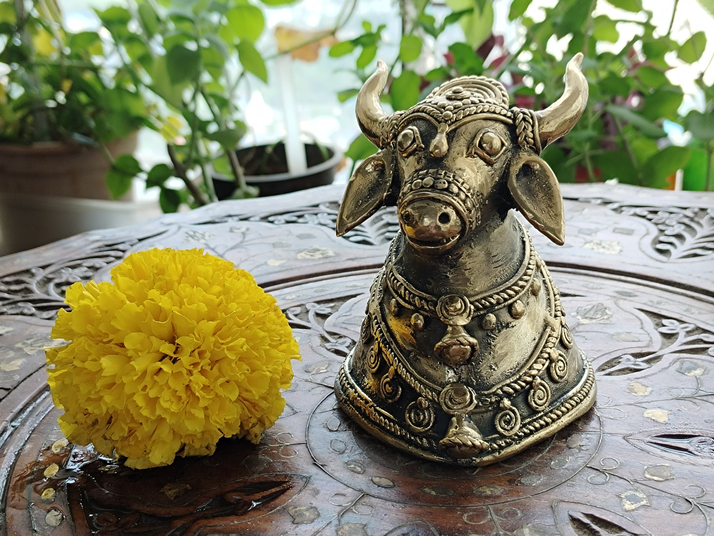 Handcrafted Dhokra Art Brass - Bull Head Art (Decorative/ Showpiece)