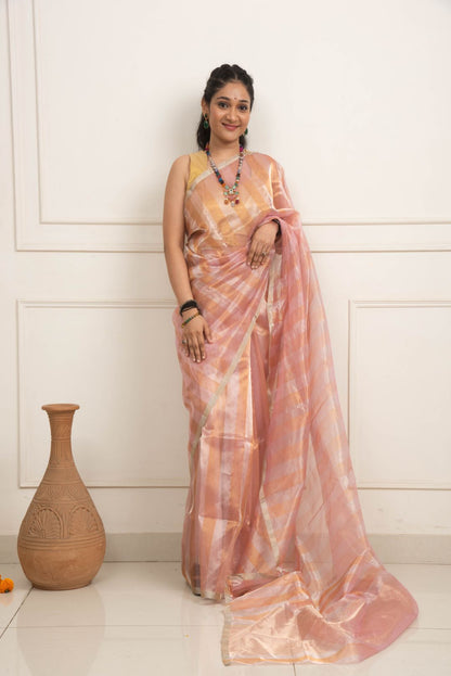 Chanderi Tissue Designer Saree - Pink