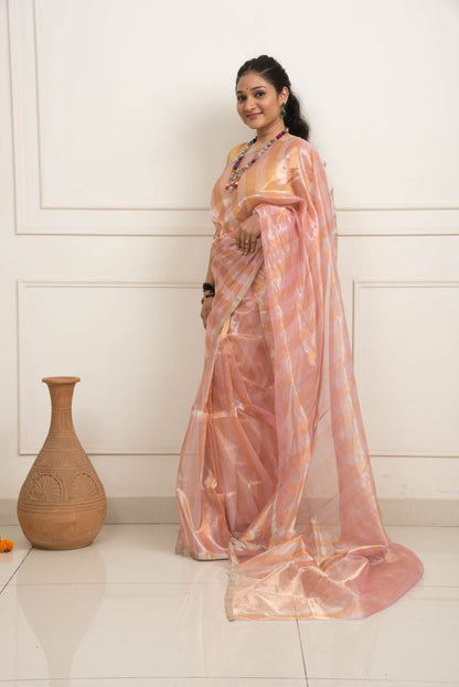 Chanderi Tissue Designer Saree - Pink