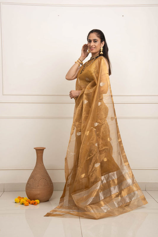 Chanderi Katan Silk Saree - Golden