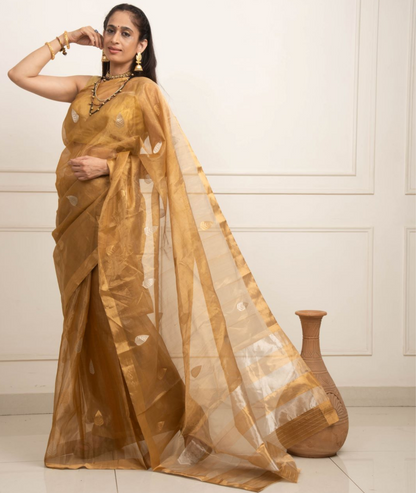 Chanderi Katan Silk Saree - Golden